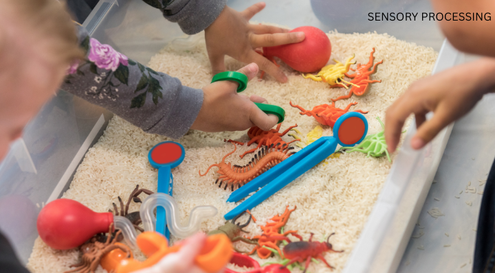 sensory PROCESSING